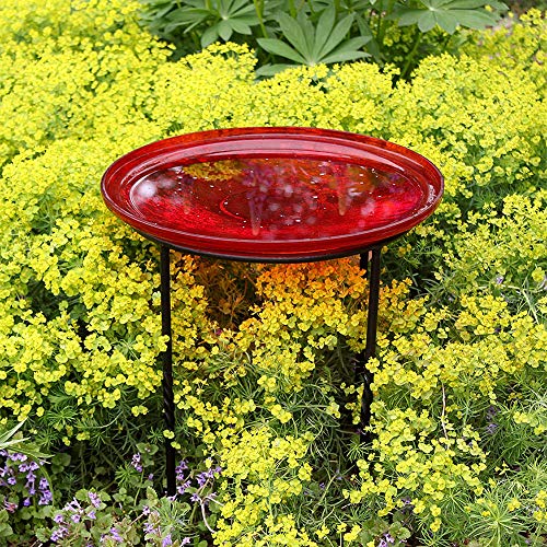 Achla Designs FB-14 Ring Wrought Iron Metal Plant birdbath Bowl Stand Flowerpot Holder, Black