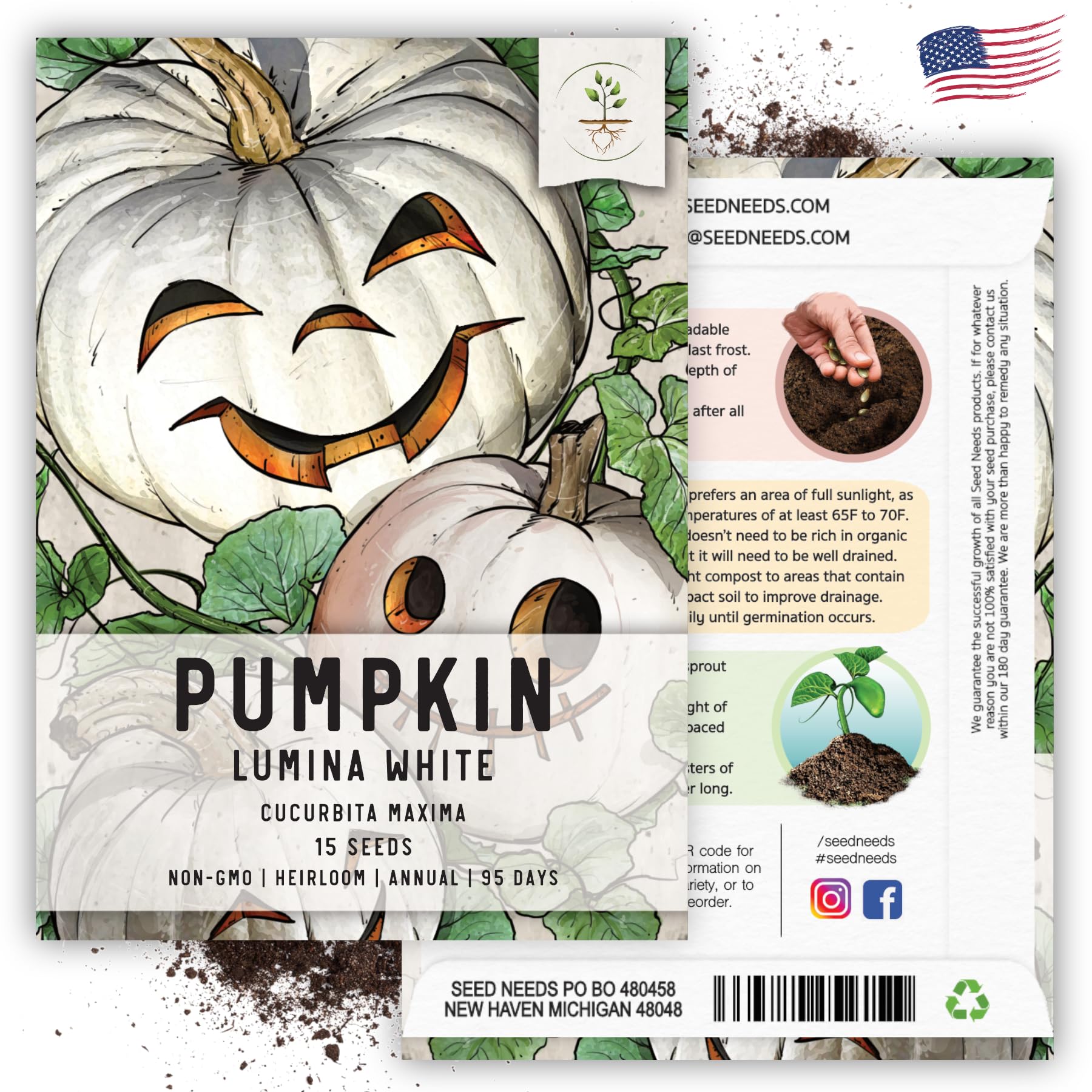 Seed Needs, Lumina Pumpkin Seeds - 15 Heirloom Seeds for Planting Cucurbita Maxima - White Fruits Perfect for Carving Alongside Jack O Lantern - Non-GMO & Untreated (1 Pack)