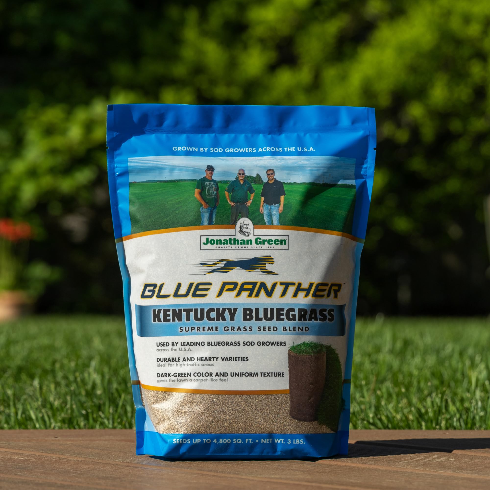 Jonathan Green (11970) Blue Panther Kentucky Bluegrass Grass Seed - Cool Season Lawn Seed (3 lb)