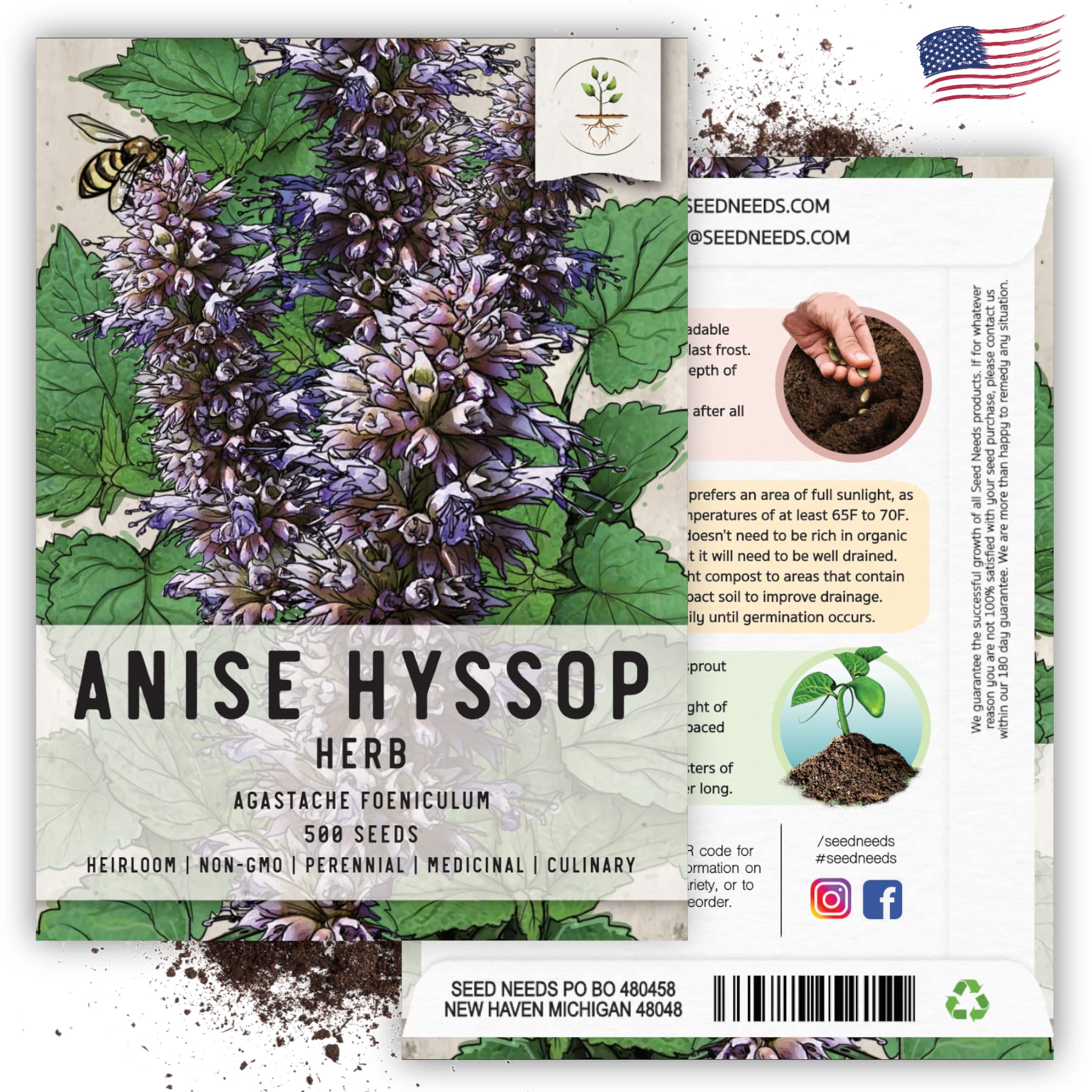 Seed Needs, Anise Hyssop Seeds - 500 Heirloom Seeds for Planting Agastache foeniculum - Medicinal Herb for Tea & Essential Oils, Non-GMO & Open Pollinated (1 Pack)