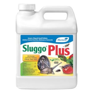 sluggo plus - for organic gardening - slug and snail killer for garden - kills earwigs, cutworms, sowbugs, pillbugs, and more - 10 lbs