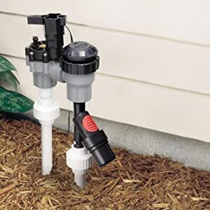 Rain Bird PRF07530S Drip Irrigation In-Line 30 PSI Pressure Regulating "Y" Filter, 3/4" Male Pipe Thread,Black