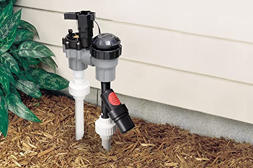 Rain Bird PRF07530S Drip Irrigation In-Line 30 PSI Pressure Regulating "Y" Filter, 3/4" Male Pipe Thread,Black