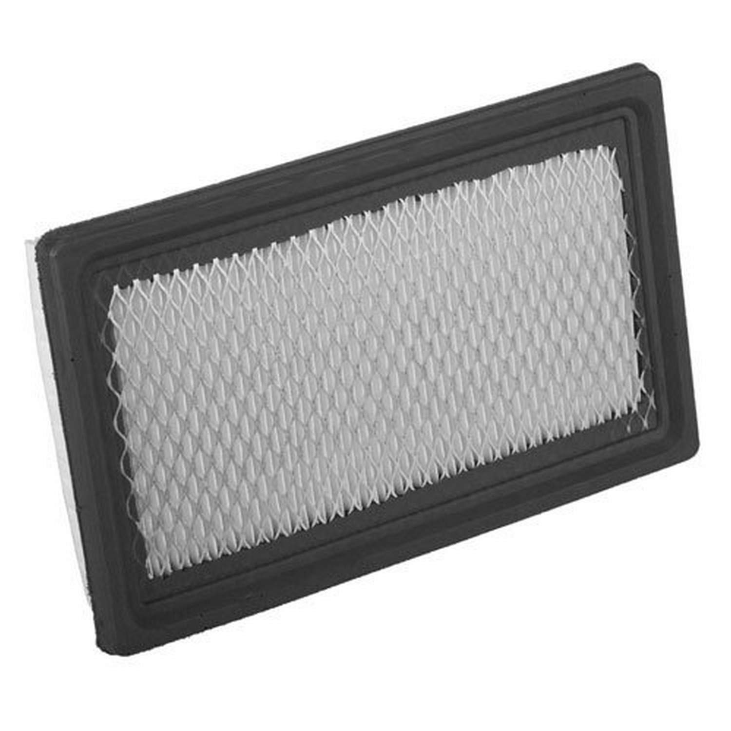 E-Z-Go 26855G01 Air Filter Element [Lawn & Patio]