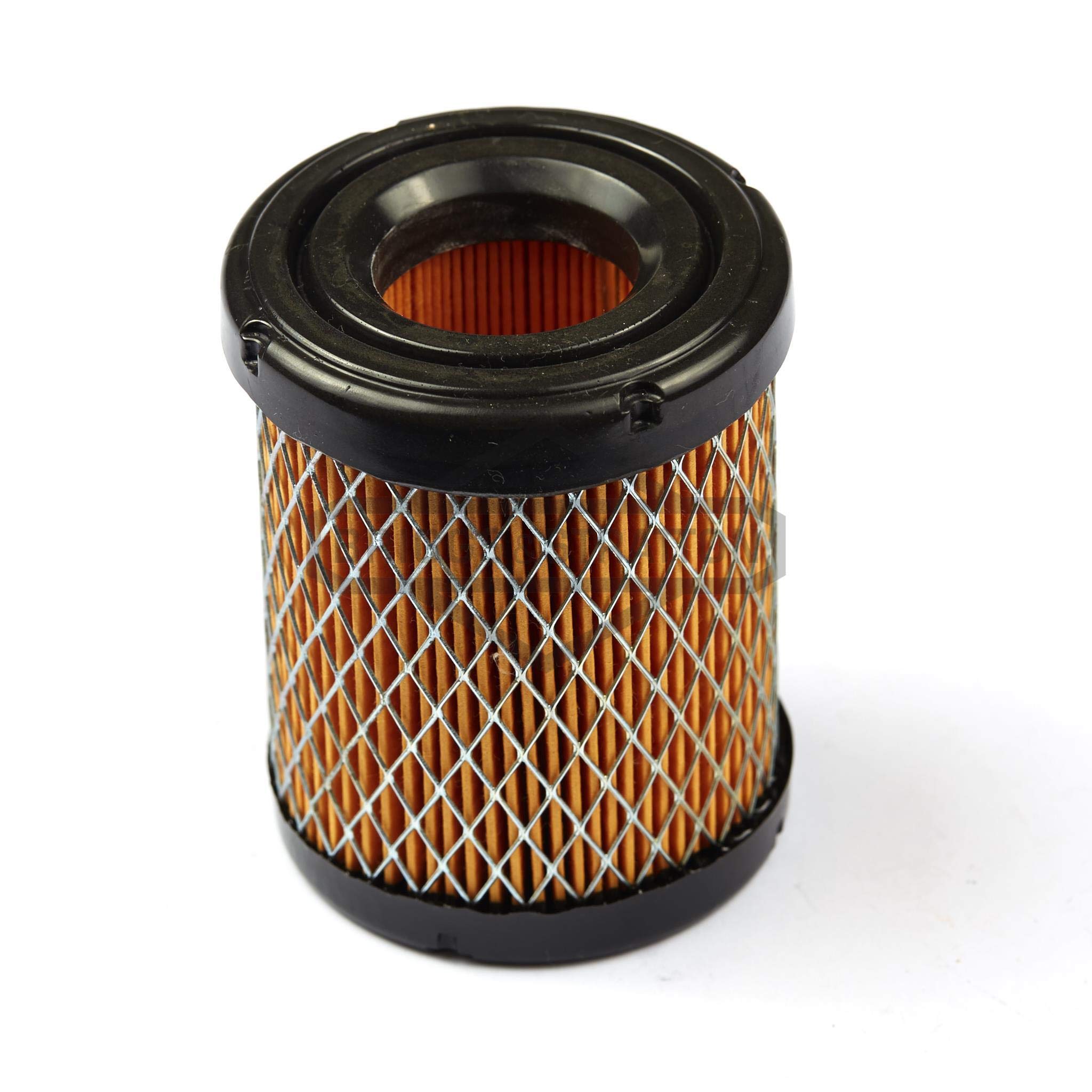 Briggs and Stratton 796032 Air Filter