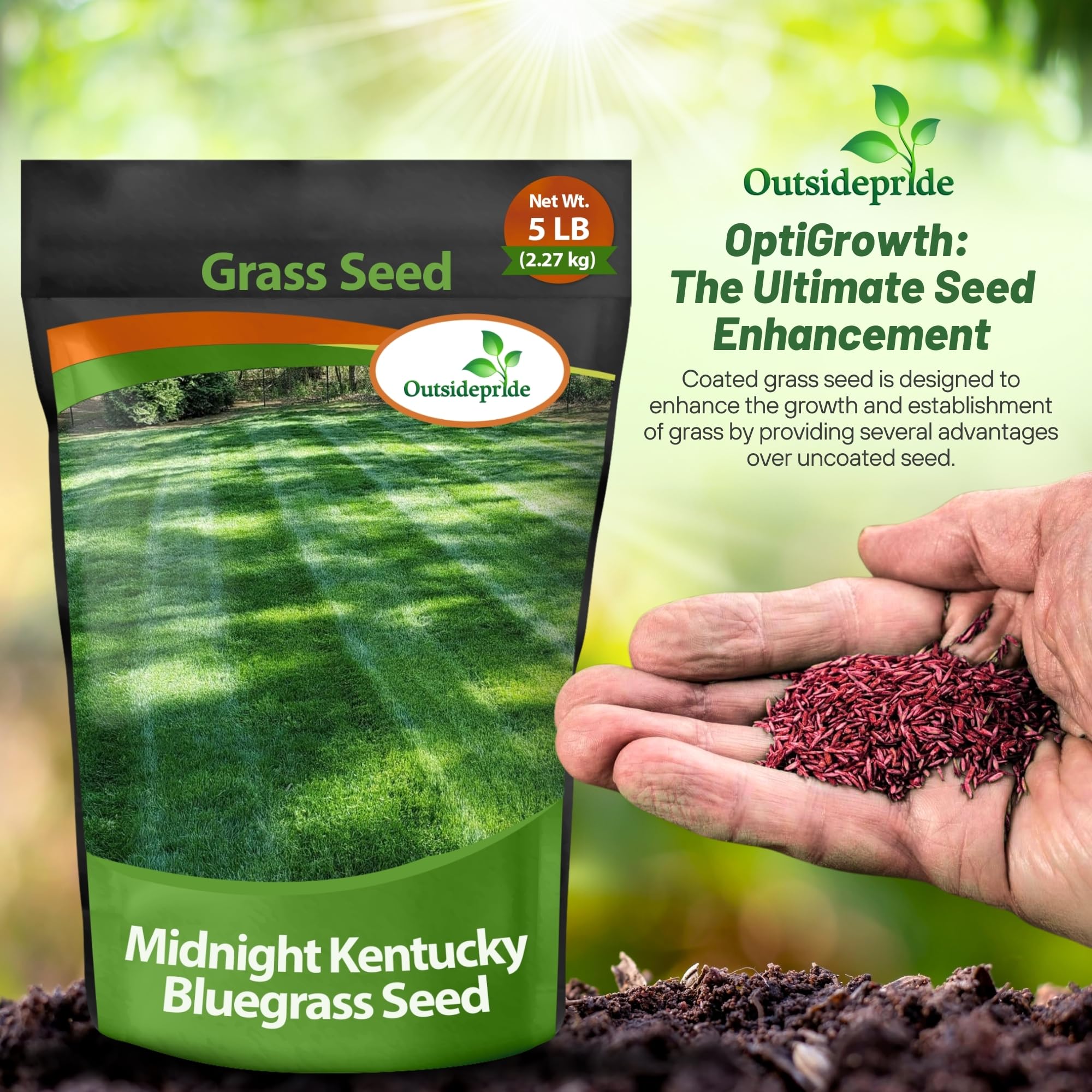 Outsidepride Midnight Kentucky Bluegrass Seed - 5 Lbs. Cold & Drought Tolerant, Sun-Loving Lawn Grass Seed, w/High Traffic Tolerance & Deep Root System, OptiGrowth Coated for Better Establishment