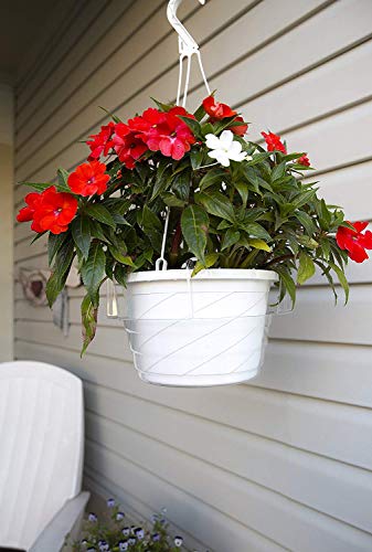 Curtis Wagner 10" Clear Hanging Basket Drip Pan Saucer (10-Pack)