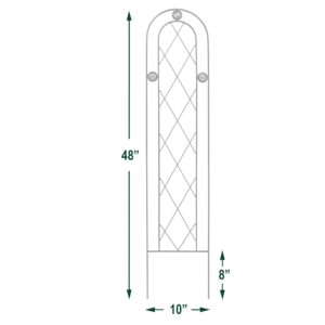 Arcadia Garden Products 4' x 10" TR01 Arched Garden Trellis, Black