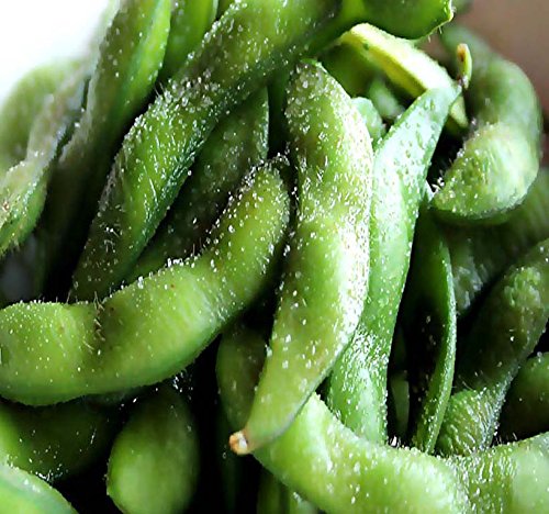 Japanese Edamame Seeds ~~ Soy Bean HIGH in Protein - Young Soy Bean - 80-90 Days (0125 Seeds - 1 oz)