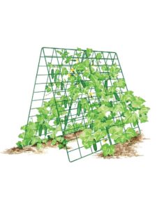 gardener' s supply company deluxe cucumber trellis | outdoor a-frame trellis plant support for vining vegetables with 4" grids for easy harvesting | 32" w x 46" h - green