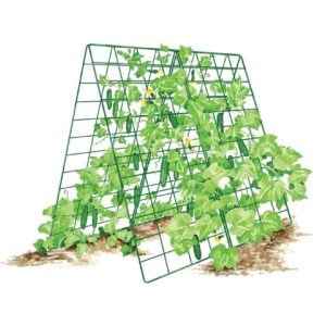 Gardener' s Supply Company Deluxe Cucumber Trellis | Outdoor A-Frame Trellis Plant Support for Vining Vegetables with 4" Grids for Easy Harvesting | 32" W x 46" H - Green