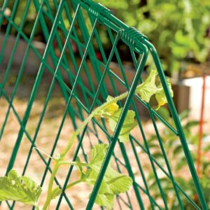 Gardener' s Supply Company Deluxe Cucumber Trellis | Outdoor A-Frame Trellis Plant Support for Vining Vegetables with 4" Grids for Easy Harvesting | 32" W x 46" H - Green