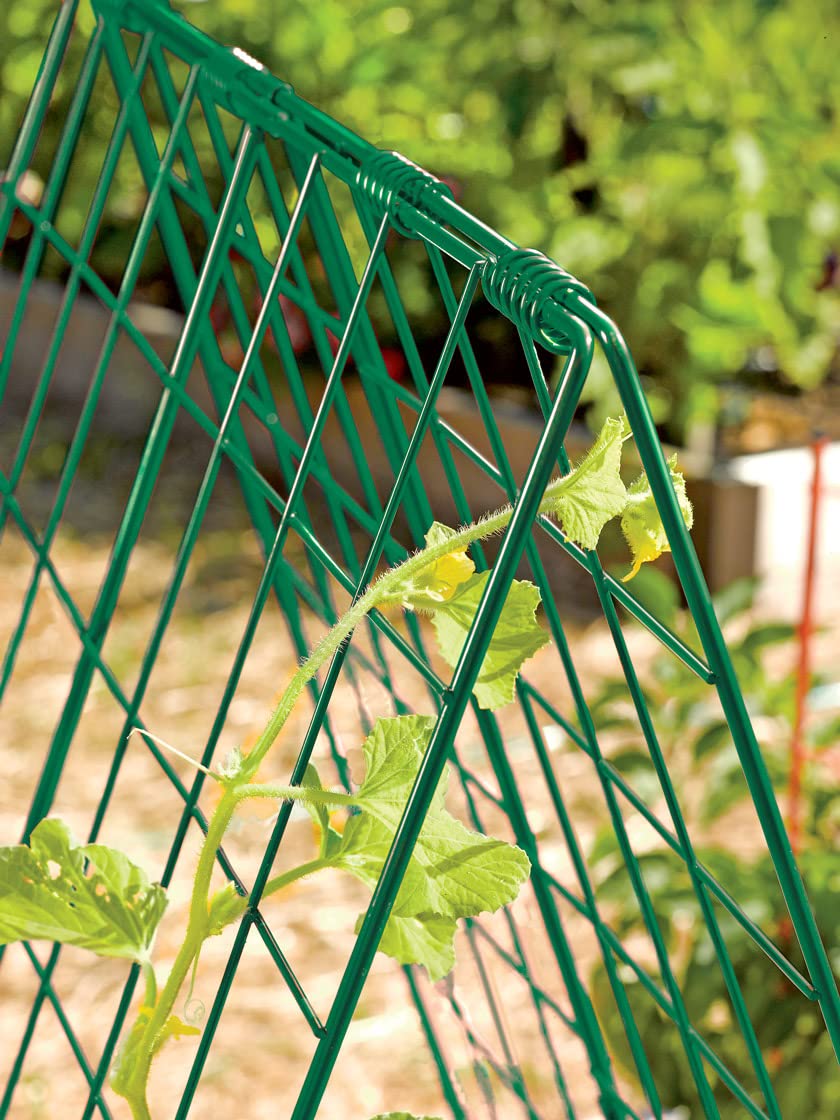 Gardener' s Supply Company Deluxe Cucumber Trellis | Outdoor A-Frame Trellis Plant Support for Vining Vegetables with 4" Grids for Easy Harvesting | 32" W x 46" H - Green