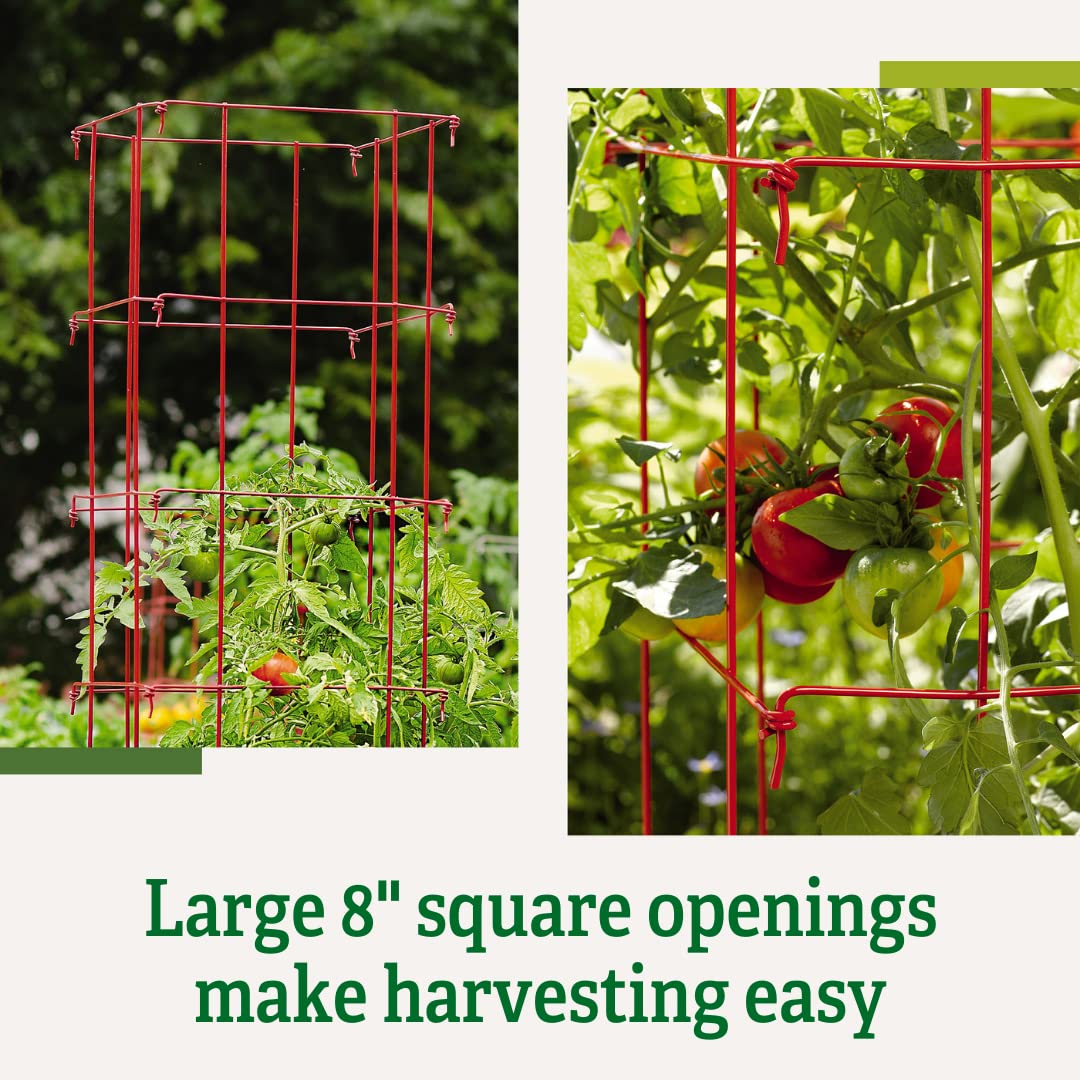 Gardeners Supply Company Lifetime Tomato Cages Plant Stand | Heavy Gauge Sturdy Garden Plants Support for Tomatoes and Other Climbing Plants | No Assembly Needed - Red (Set of 4)