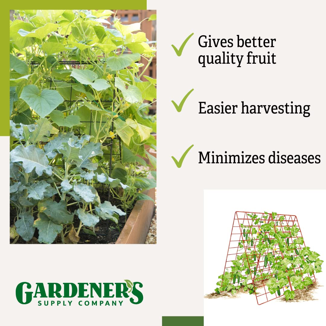 Gardener' s Supply Company Deluxe Cucumber Trellis | Outdoor A-Frame Trellis Plant Support for Vining Vegetables with 4" Grids for Easy Harvesting | 32" W x 46" H - Green