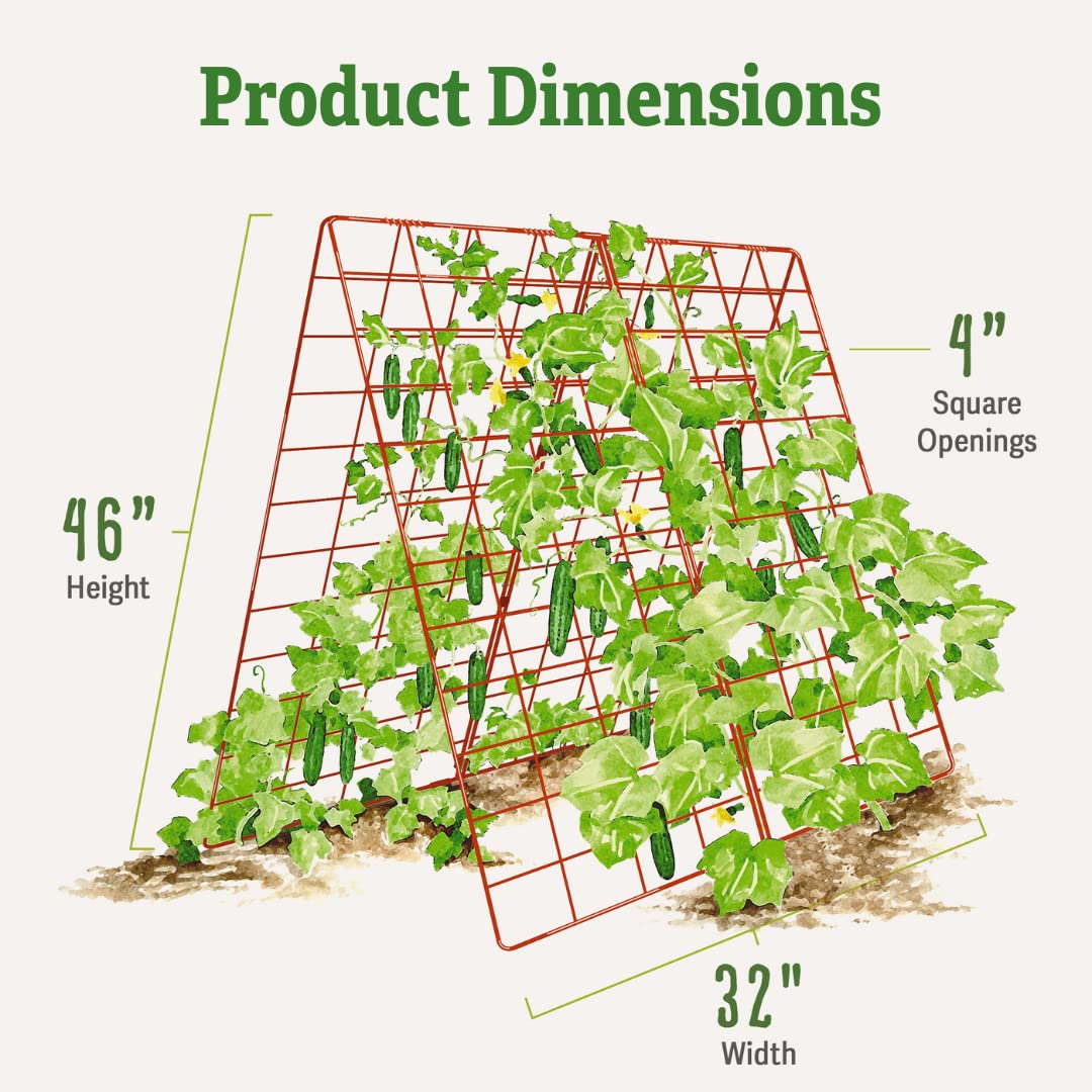 Gardener' s Supply Company Deluxe Cucumber Trellis | Outdoor A-Frame Trellis Plant Support for Vining Vegetables with 4" Grids for Easy Harvesting | 32" W x 46" H - Green