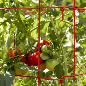 Gardeners Supply Company Lifetime Tomato Cages Plant Stand | Heavy Gauge Sturdy Garden Plants Support for Tomatoes and Other Climbing Plants | No Assembly Needed - Red (Set of 4)