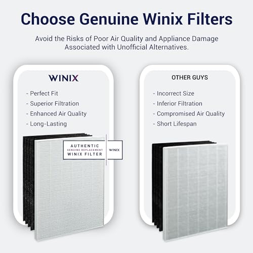 Genuine Winix 113250 Replacement Filter E for P450, White/Black