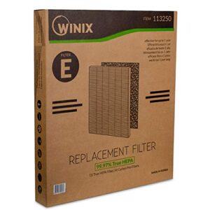 Genuine Winix 113250 Replacement Filter E for P450, White/Black