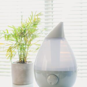 Crane Ultrasonic Cool Mist Humidifier for Bedroom, Baby Nursery, Kids Room, Plants, or Office, Large 1 Gallon Tank, Filter Optional, Grey