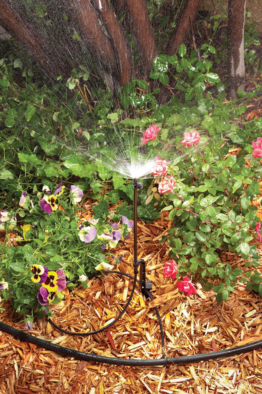 Rain Bird MSSTKTH1S Drip Irrigation Micro-Spray on Adjustable Height Staked Riser with 1/4" Tubing and Barbed Coupler, 180° Half Circle Pattern, 0 - 10.5’ Spray Distance,Black