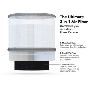 Broan-NuTone Air Purifier Filter with True HEPA Filtration and Activated Charcoal, Replacement Filter for Broan-NuTone Air Purifier