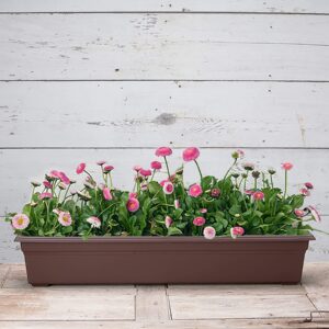 Novelty 16363 Countryside Flower Box Planter, 36-Inch, Brown