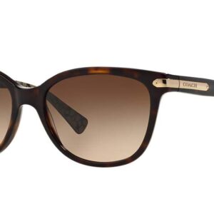 Coach HC8132 Sunglasses, Dark Tortoise/Dark Brown Gradient, 57 mm