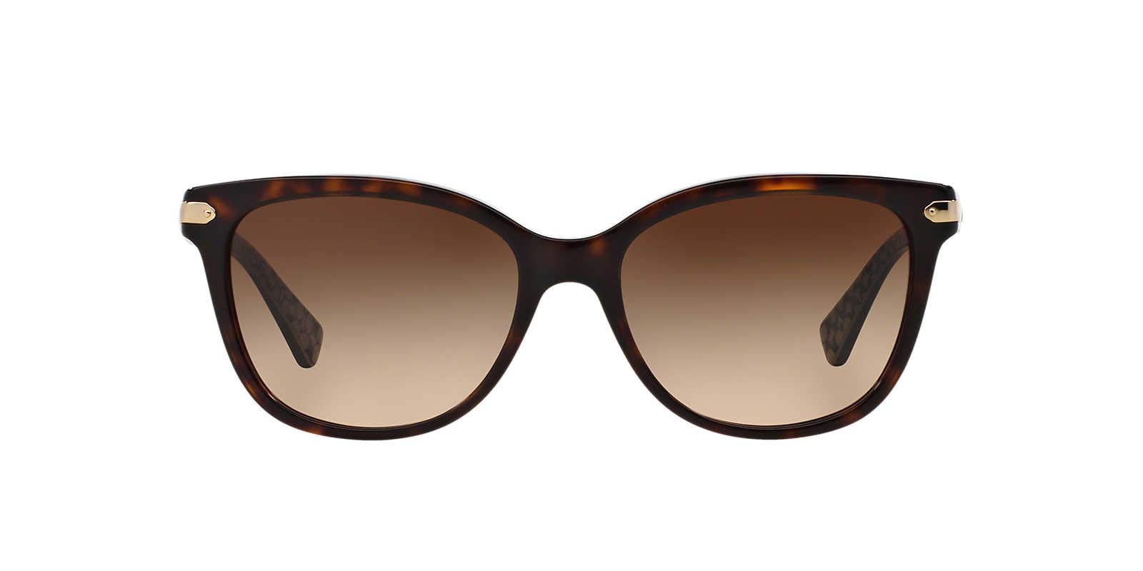 Coach HC8132 Sunglasses, Dark Tortoise/Dark Brown Gradient, 57 mm