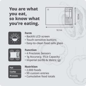 Nutrition Scale by Greater Goods, Food Grade Glass, Calorie Counting Scale, Meal Prep Scale, and Weight Loss Scale, Silver