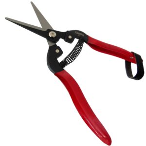 TABOR TOOLS K7A Straight Pruning Shears with Carbon Steel Blades, Florist Scissors, Multi-Tasking Garden Snips for Arranging Flowers, Trimming Plants and Harvesting Herbs, Fruits or Vegetables.