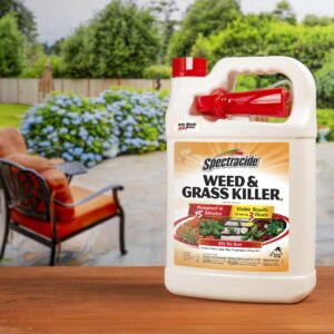 Spectracide Weed & Grass Killer2, Ready-to-Use, 1-Gallon, Pack of 4