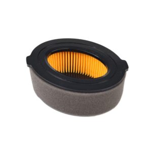 CUB CADET 951-10794 Air Cleaner Filter Kit FT24R RT35 RT45 RT65 VT100 Tillers