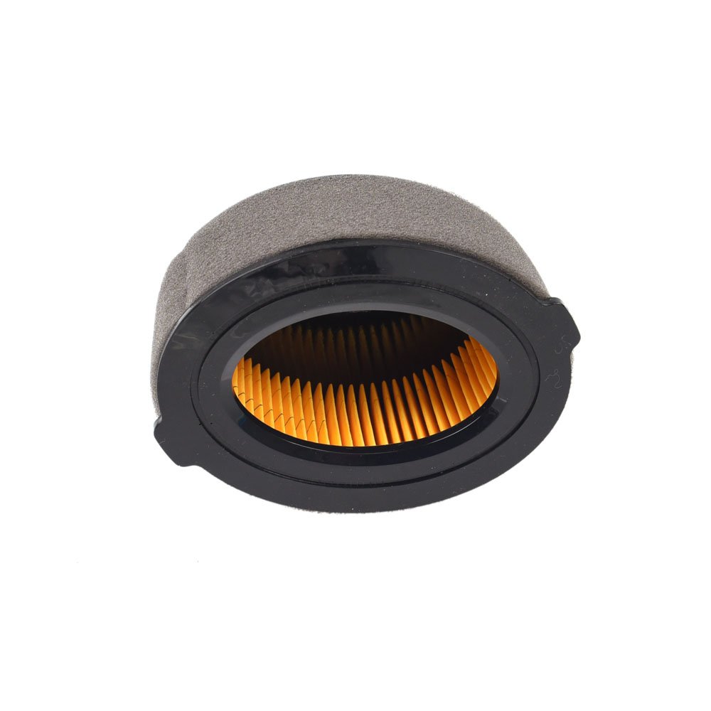 CUB CADET 951-10794 Air Cleaner Filter Kit FT24R RT35 RT45 RT65 VT100 Tillers