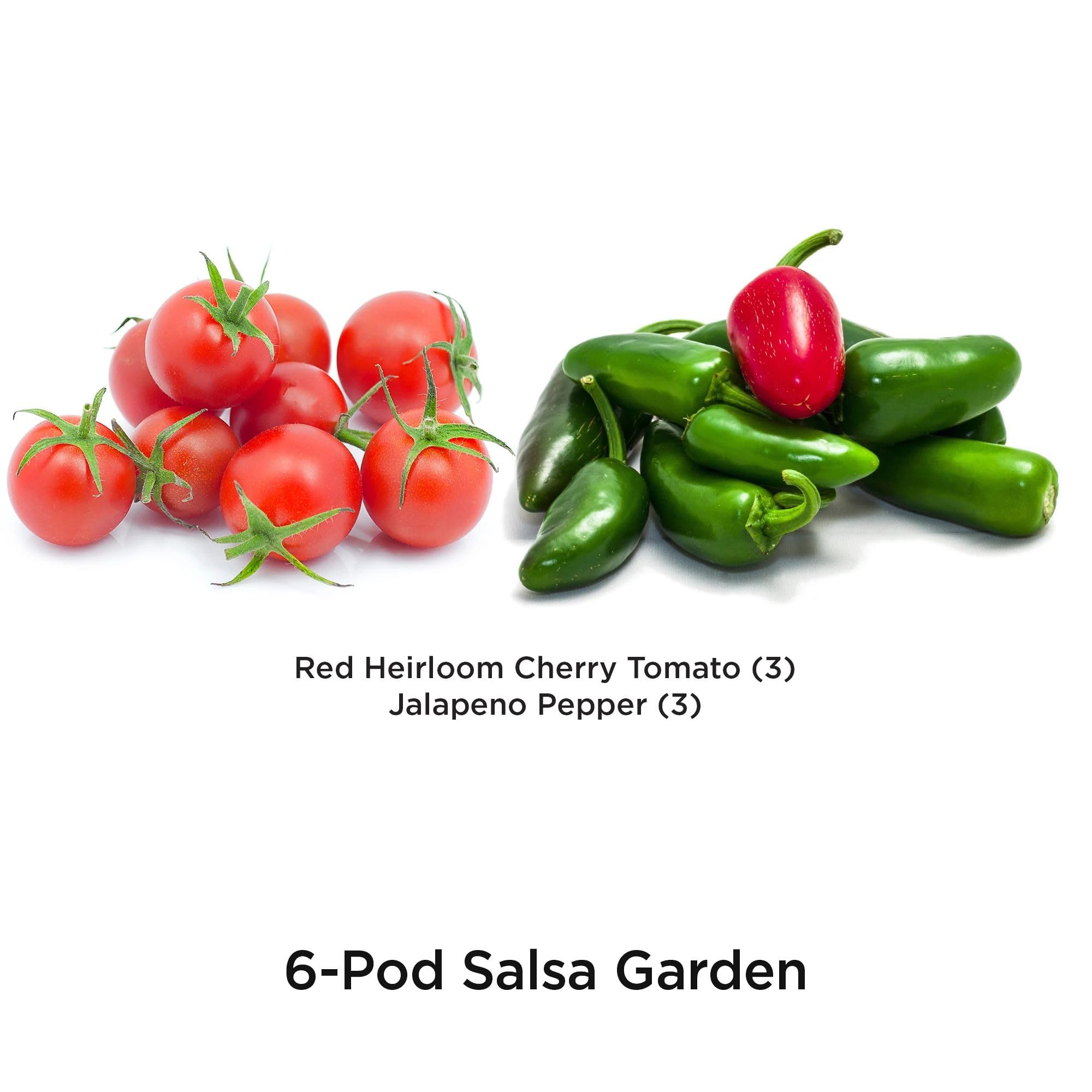 AeroGarden Salsa Garden Seed Pod Kit (6-pod)