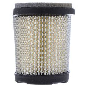 CUB CADET BS-697029 Air Filter Cartridge S621 SC621 SC621E SR621 SRA621 SRC621