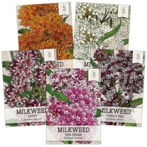 seed needs, milkweed seed packet collection to attract monarch butterflies (5 individual seed varieties to plant) heirloom & untreated seeds