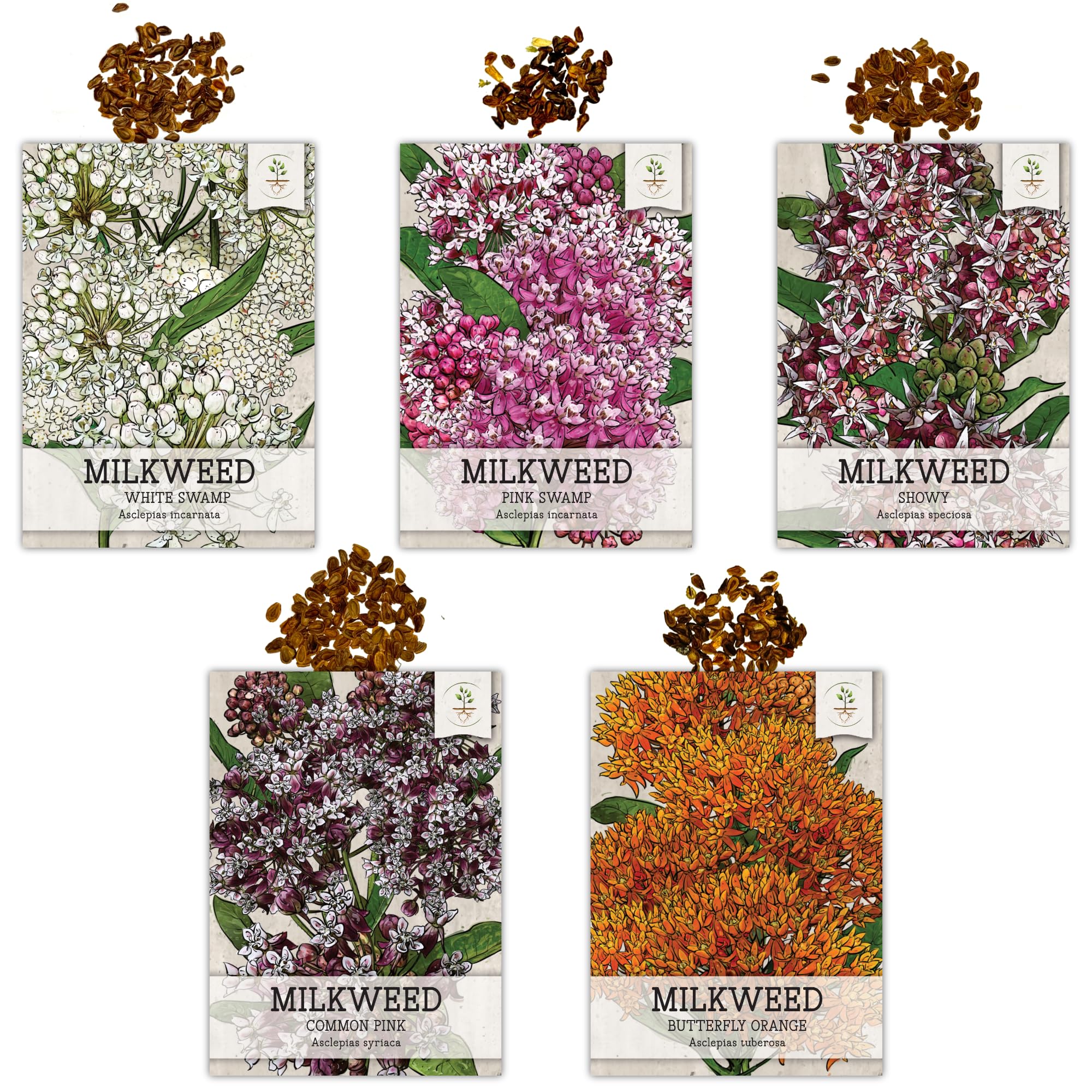 Seed Needs, Milkweed Seed Packet Collection to Attract Monarch Butterflies (5 Individual Seed Varieties to Plant) Heirloom & Untreated Seeds