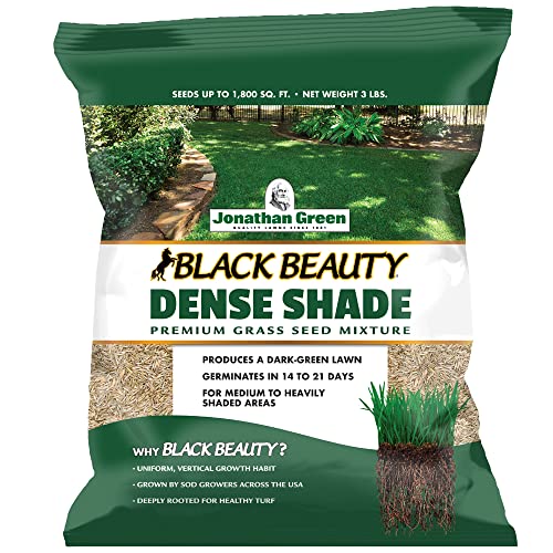 Jonathan Green (10600) Black Beauty Dense Shade Grass Seed - Cool Season Lawn Seed (3 lb)