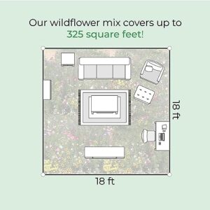 Colorado Wildflower Seed Mix, Covers 325 Sq Ft, 14 Flower Varieties, Over 53,000 Seeds - Created By Nature