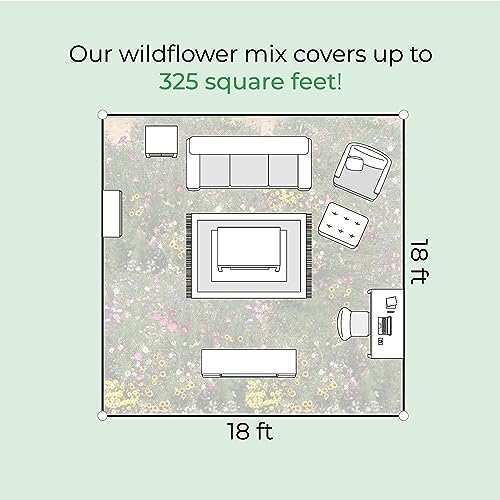 Colorado Wildflower Seed Mix, Covers 325 Sq Ft, 14 Flower Varieties, Over 53,000 Seeds - Created By Nature