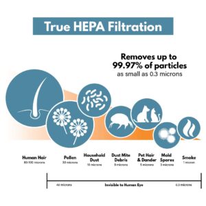 True HEPA Replacement Filter Compatible with Honeywell HEPA R Filter (HRF-R3) for HPA090, HPA100, HPA200, HPA250 and HPA300 Series Air Purifiers (3 Pack)