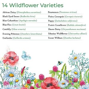 Colorado Wildflower Seed Mix, Covers 325 Sq Ft, 14 Flower Varieties, Over 53,000 Seeds - Created By Nature