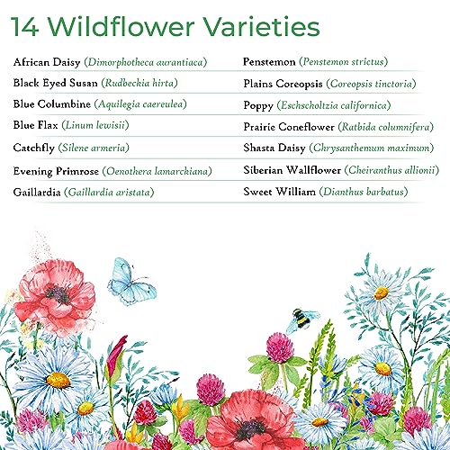 Colorado Wildflower Seed Mix, Covers 325 Sq Ft, 14 Flower Varieties, Over 53,000 Seeds - Created By Nature