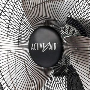 Active Air Heavy Duty Wall Mount Fan, 16", Black