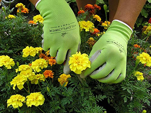 WILDFLOWER Tools Gardening Gloves for Women and Men - Nitrile Coating for Protection (Small, Purple Pair/Green Pair with White Cuff Hem)