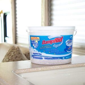 DampRid FG50T Moisture Absorber 4 lb. Hi-Capacity Bucket-for Fresher, Cleaner Air in Large Spaces-2 Pack, 4-Pound, White, 2 Count