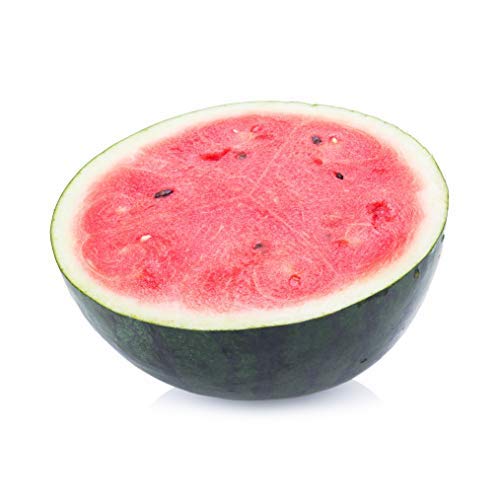 50 Sugar Baby Watermelon Seeds for Planting - Heirloom Non-GMO USA Grown Premium Fruit Seeds for Planting a Home Garden - Small Watermelon Citrullus Lanatus by RDR Seeds