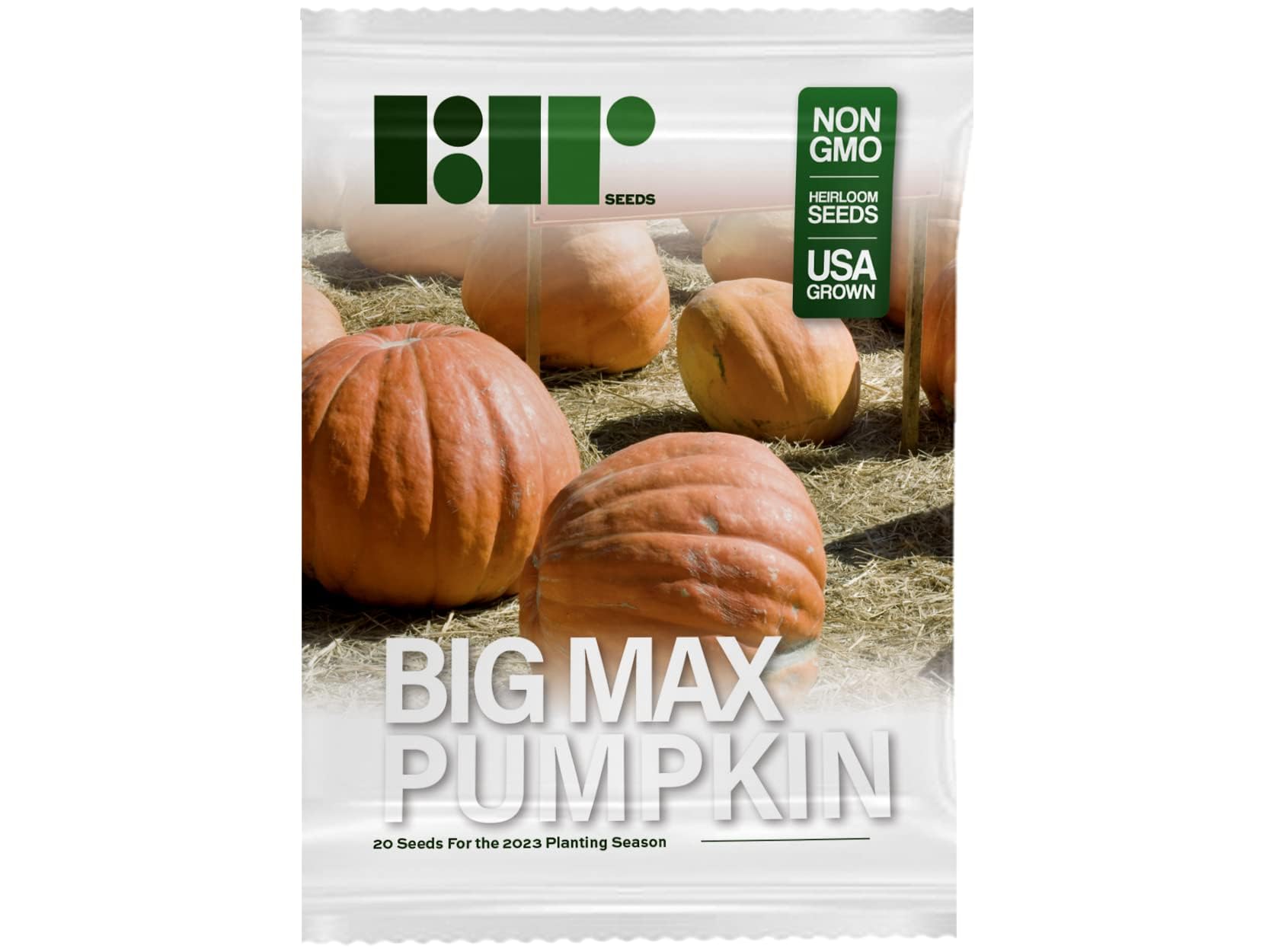 20 Big Max Pumpkin Seeds for Planting - Heirloom Non-GMO USA Grown Premium Vegetable Seeds for Planting - Grows Big Giant Pumpkins up to 100 lbs! Grown for Pies and Halloween Jack O Lanterns