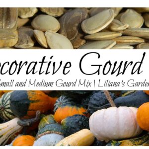 “Decorative Mix” Small and Medium Gourd Seeds – 7+ Varieties/Packet – Warted, Smooth, Striped, Daisy, and More | Cucurbita Pepo | Never GMO, Always Heirloom | USA Grown Seeds by Liliana's Garden |